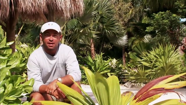 Key West Flats Fishing for Permit - Jose Wejebe / Spanish Fly TV