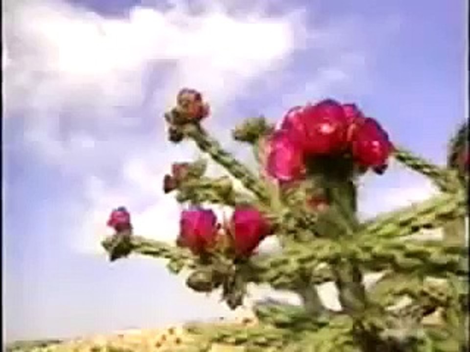 Colonel Philip J. Corso interview - Witness to Roswell pt 1/2