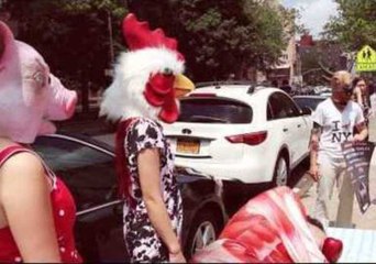 Comedic Role Reversal Sees Animals Campaign for Human Rights