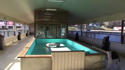 PETA Rescues 17 Bears From Concrete Pits