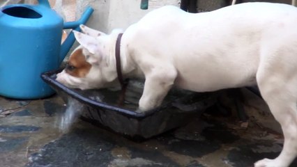 Hoy me he pegado dos "morros baños". es que hace mucha calorrrrrrrr.