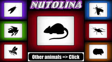 Mouse sounds - Mouse sound effect - Mouse sound