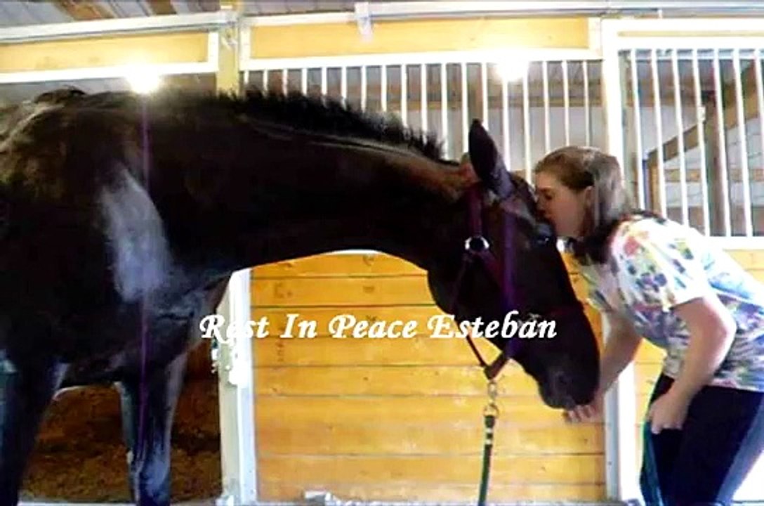 Rest In Peace Esteban
