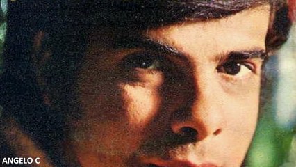 HENRY SALVAT  -  SI  LA VIERON PASAR