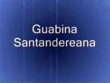 Musica Colombiana-Guabinas 3-guabina santandereana, Guabina huilense, Mi guabinita