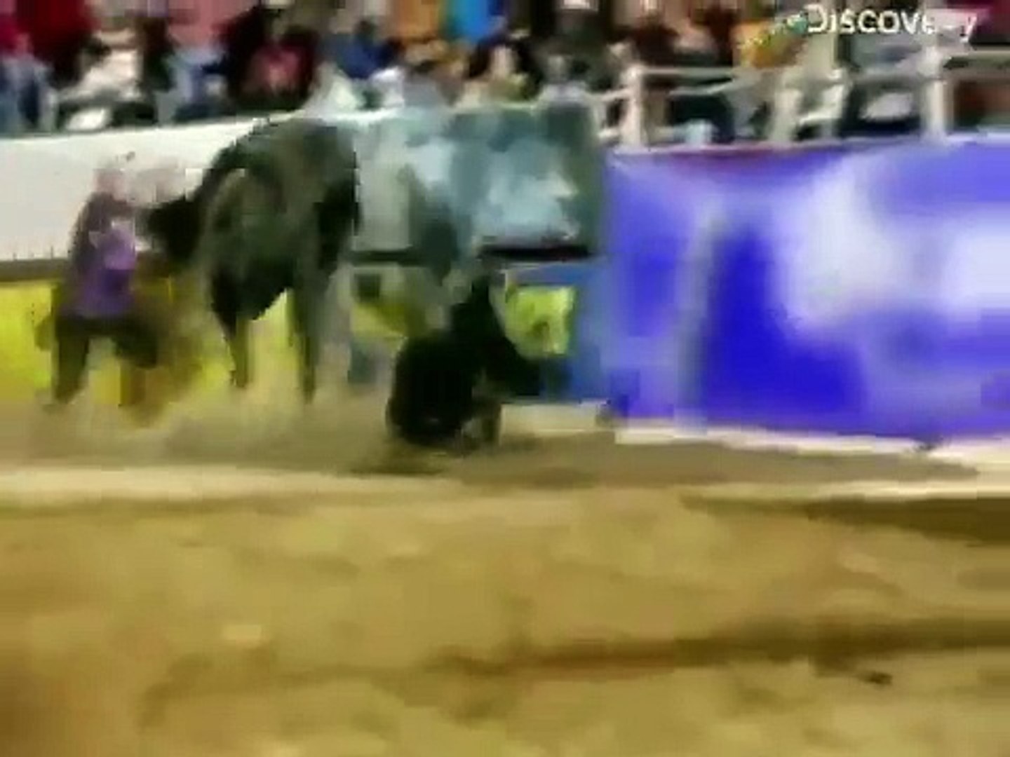 ⁣ЖИВОТНЫЕ НАПАДАЮТ НА ЛЮДЕЙ!!! ANIMALS ATTACK PEOPLE!!!