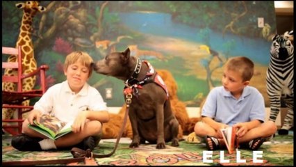 American Hero Dog Elle