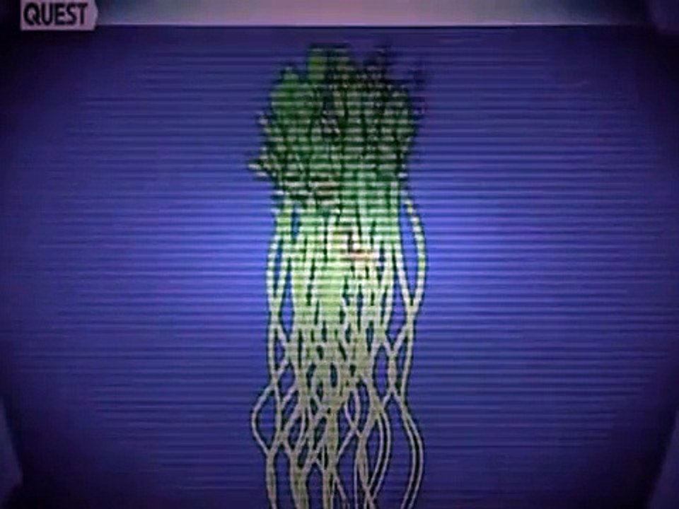 [ National Geographic ] Unbelievable Future Floating City - Nat Geo Wild HD Documentary [Full Episod