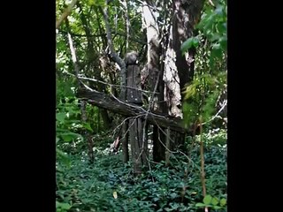 Олена Гуцу. Мэй Володя