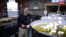 Wildlife and Wild Places with Tom Stalf - Freshwater Mussels