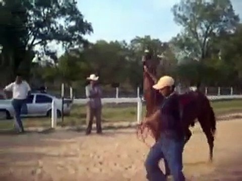 Carreras de caballos en Chinameca Veracruz