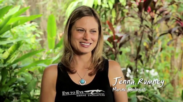 Australia's National Landscapes Nature Series - Great Barrier Reef - Jenna Rumney