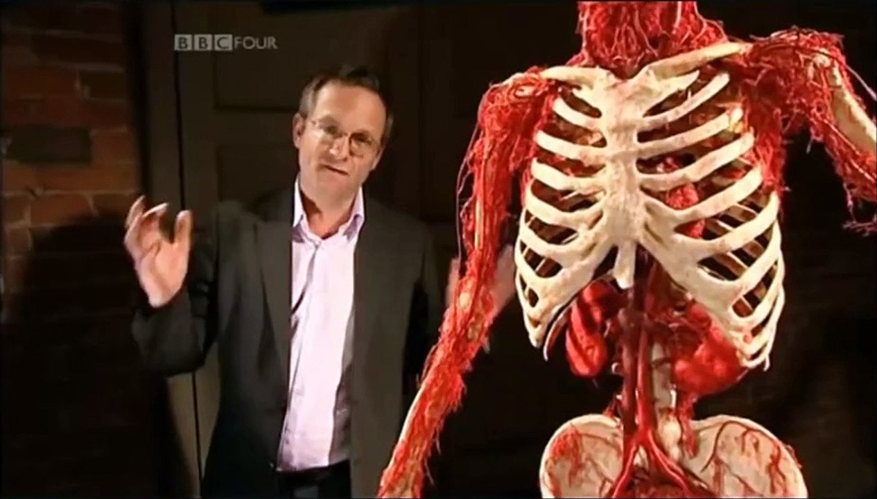 Gibbon Heart Lung Machine