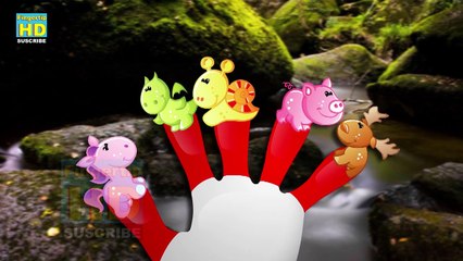 Animal Finger Family - Finger Family Song-  5 Collection Finger Rhymes - Nursery Kids
