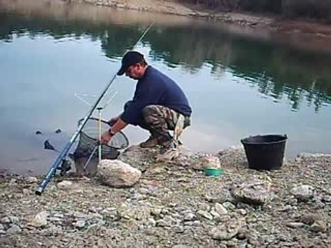 Pêche carpe bolognaise corse peri