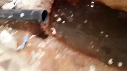 Leak Detection Isle of Palms SC