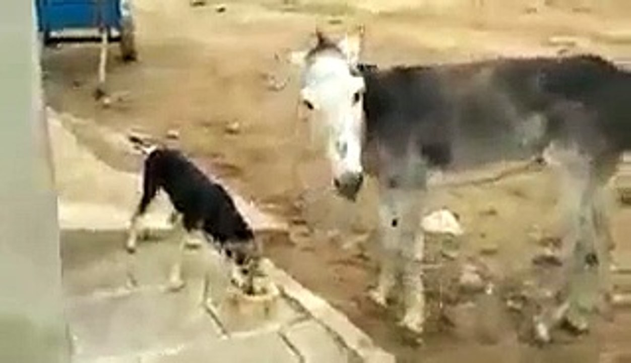 VID-20150404-WA0012