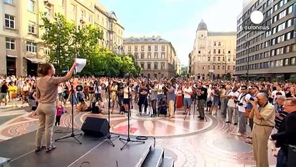Hungary: Protesters condemn 'absurd' anti-migrant border fence with Serbia