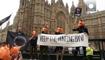 SNP flexes its parliamentary muscles over fox hunting in the UK