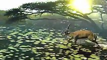 Wild Animals Wolverine Animal Documentary Full length Documentaries