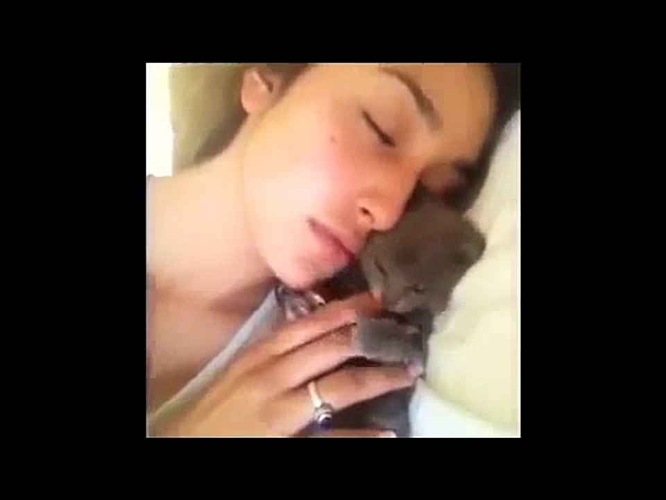 재미있는 동물 ★ BEST FUNNY ANIMALS COMPILATION 2015