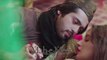 Mah-e-Meer 2015 | Pakistan Movie | Official Trailer | Fahad Mustafa, Iman Ali And Sanam Saeed