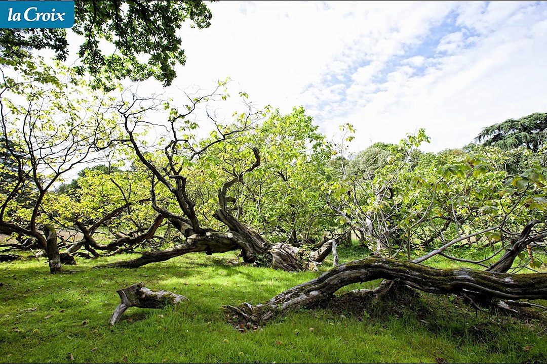 Chateaubriand à la Vallée aux loups