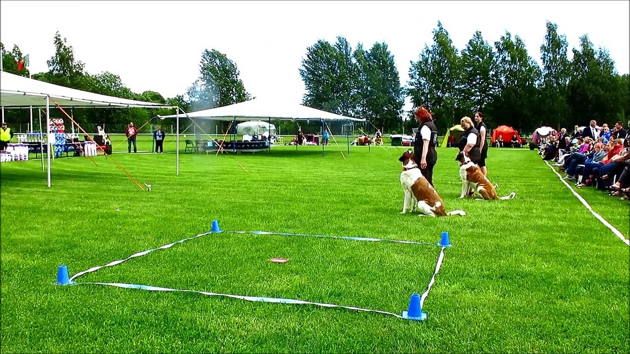 WUSB 2015 TOKO - Obedience