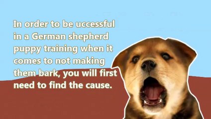 How to Train a Dog Not to Bark – Handy Tips
