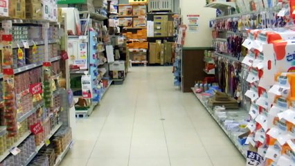 珍しい!?ペットカートの中のおとなしいネコ Cat in pet wagon