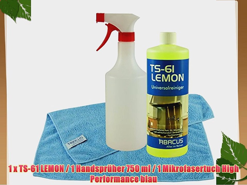 TS-61 LEMON-Set - Universalreiniger-Konzentrat