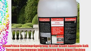 CleanPrince Steinimpr?gnierung 10 Liter Granit Sandstein Kalk Terrassen Gartenwege impr?gnieren