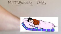 Metabolismo basal | calcular metabolismo basal (Muy fácil)