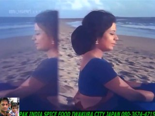 Ek Pyar Ka Nagma Hai-Lata Mangeshkar_Mukesh +HD スパイスハラルフード　岩倉市 ジャパンjapan halal food spice