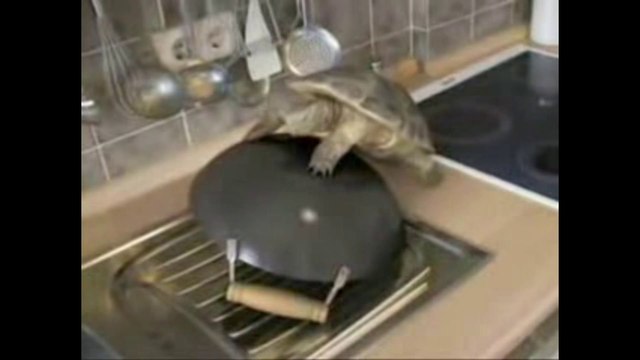 Когда есть девушка и когда нет девушки