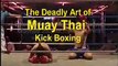 Thailand, Muay Thai Beer Bar Kick Boxing