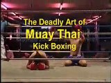 Thailand, Muay Thai Beer Bar Kick Boxing