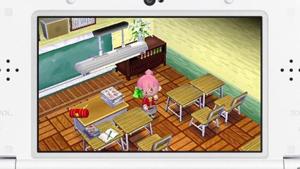 Animal Crossing Happy Home Designer - Pub Japon #2