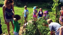 Friendship Gardens Farm Camp 2014 Week 1