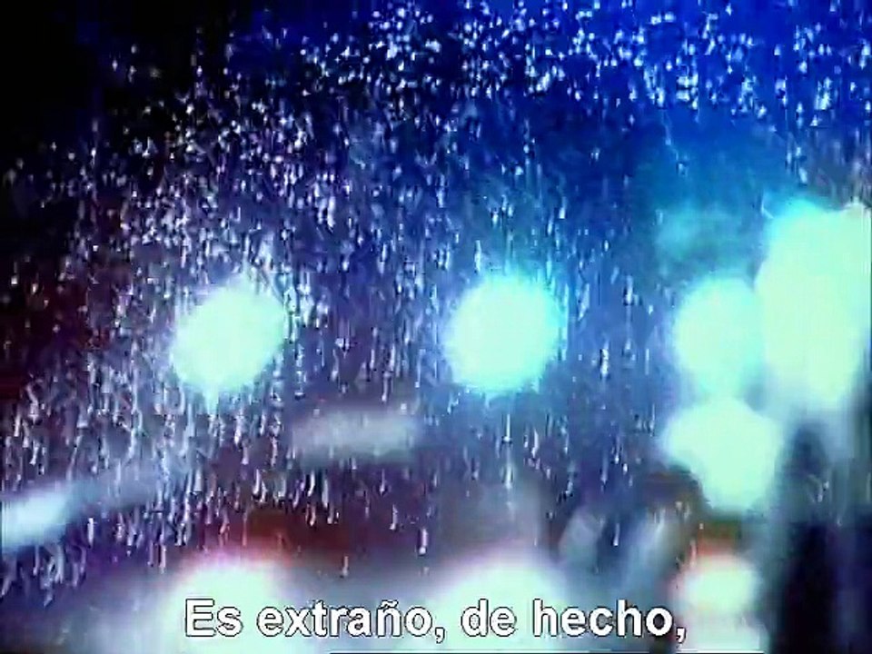 24. Elogio del amor