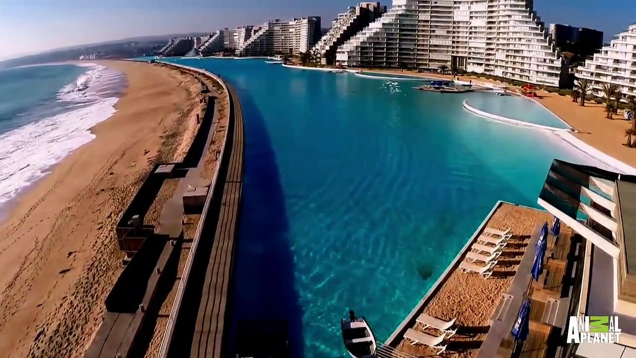 Plus grande piscine du monde : 1 km de long