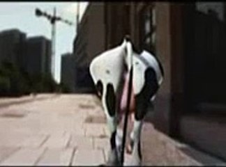 Vaca Loka (Crazy Cow)