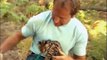 Bindi The Asian Leopard Cat and Singer Luke Stevenson