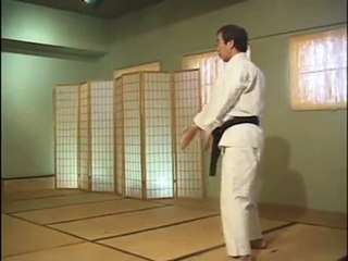 Hirokazu Kanazawa · Niju Hachi Ho