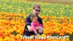 Holland Travel: Tulip Bike Tour- The Netherlands Travel Video Postcard