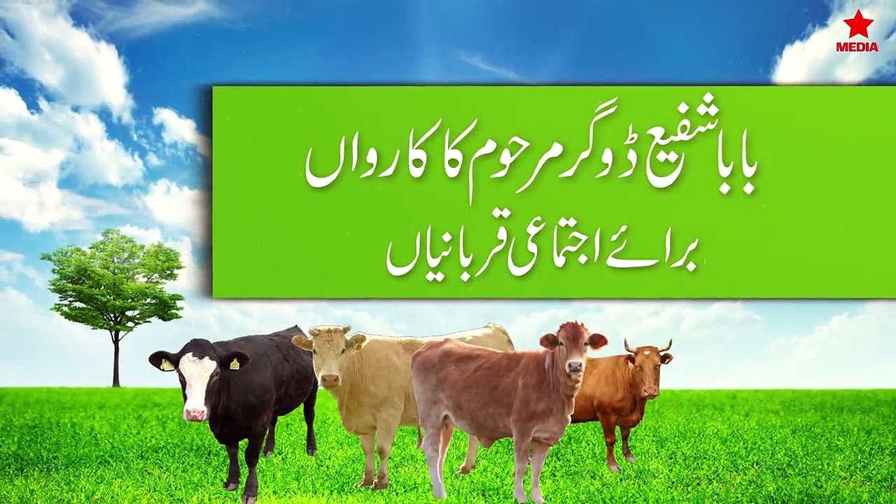 ijtmai qurbani