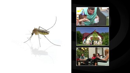 Piège à Moustiques DynaTrap