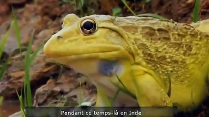 Cok güldüren komik anlar