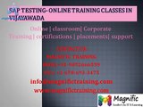 sap testing online training classes