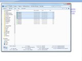Renaming multiple files in Microsoft Windows
